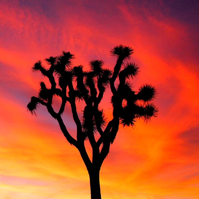 RM 47 Appendix B Authorities