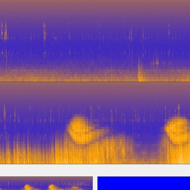 Characterizing the Acoustic Environment