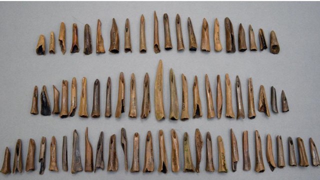 Ranger Nora with student on the Anhinga Trail