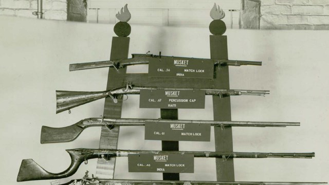 A black and white photo of various firearms on a vertical display.