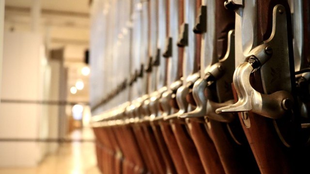 A row of percussion rifles; photo focused on the hammers. 