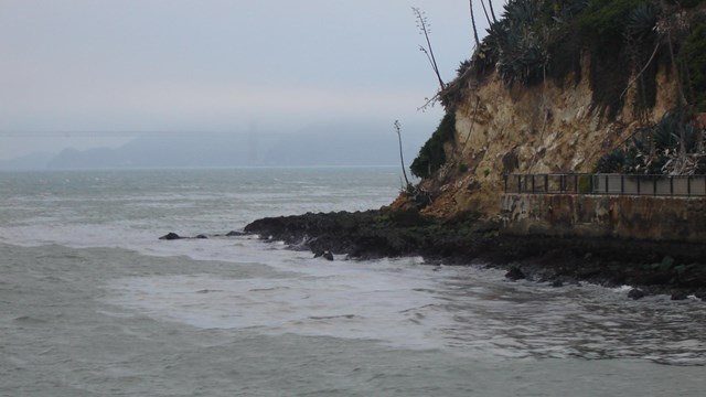 Oil appears along water surface around Alcatraz