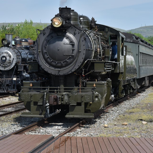 Train Rides and Excursions