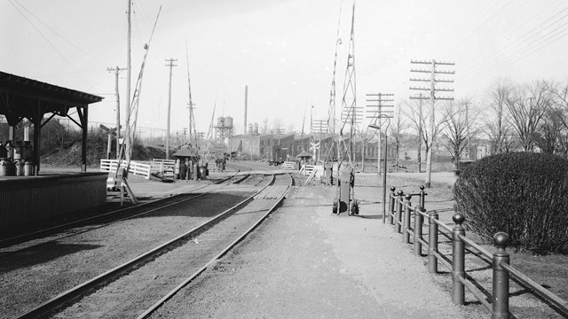 Milk platform and manned crossing