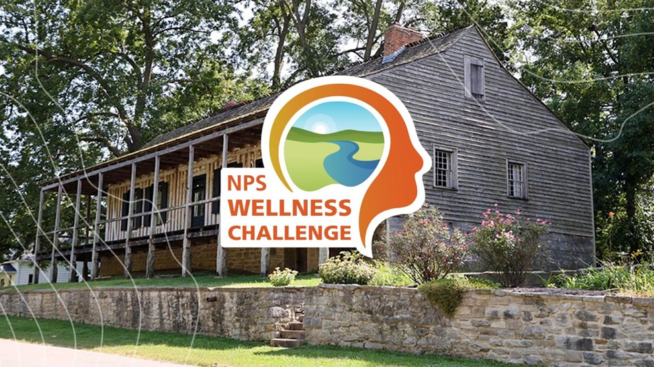 A logo featuring a landscape inside someone's mind with text reading NPS Wellness Challenge