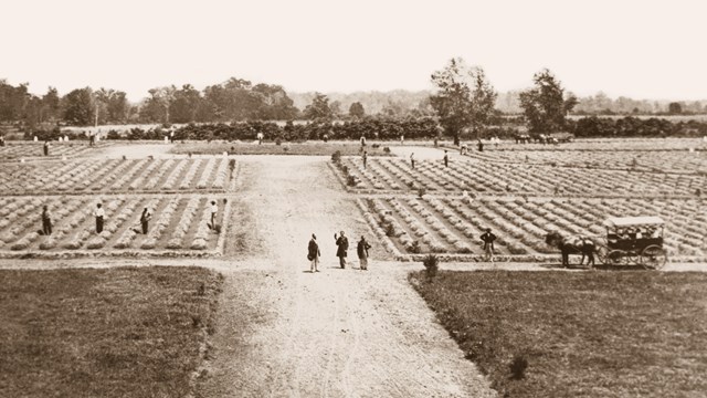 A black and white photo of a cemetery with rows of earthen mounds and workers beside them.