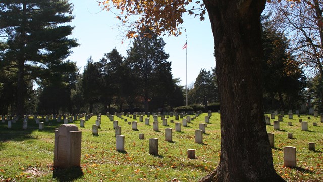 Rows of headstones in Stones River National Cemetery.