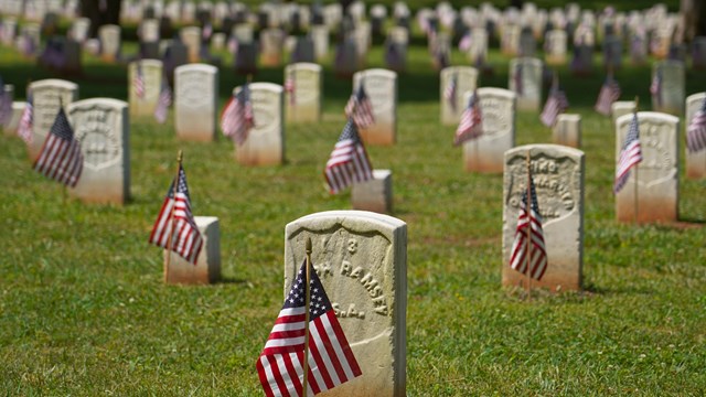 American flags placed in front of headstones in Stones River National Cemetery.