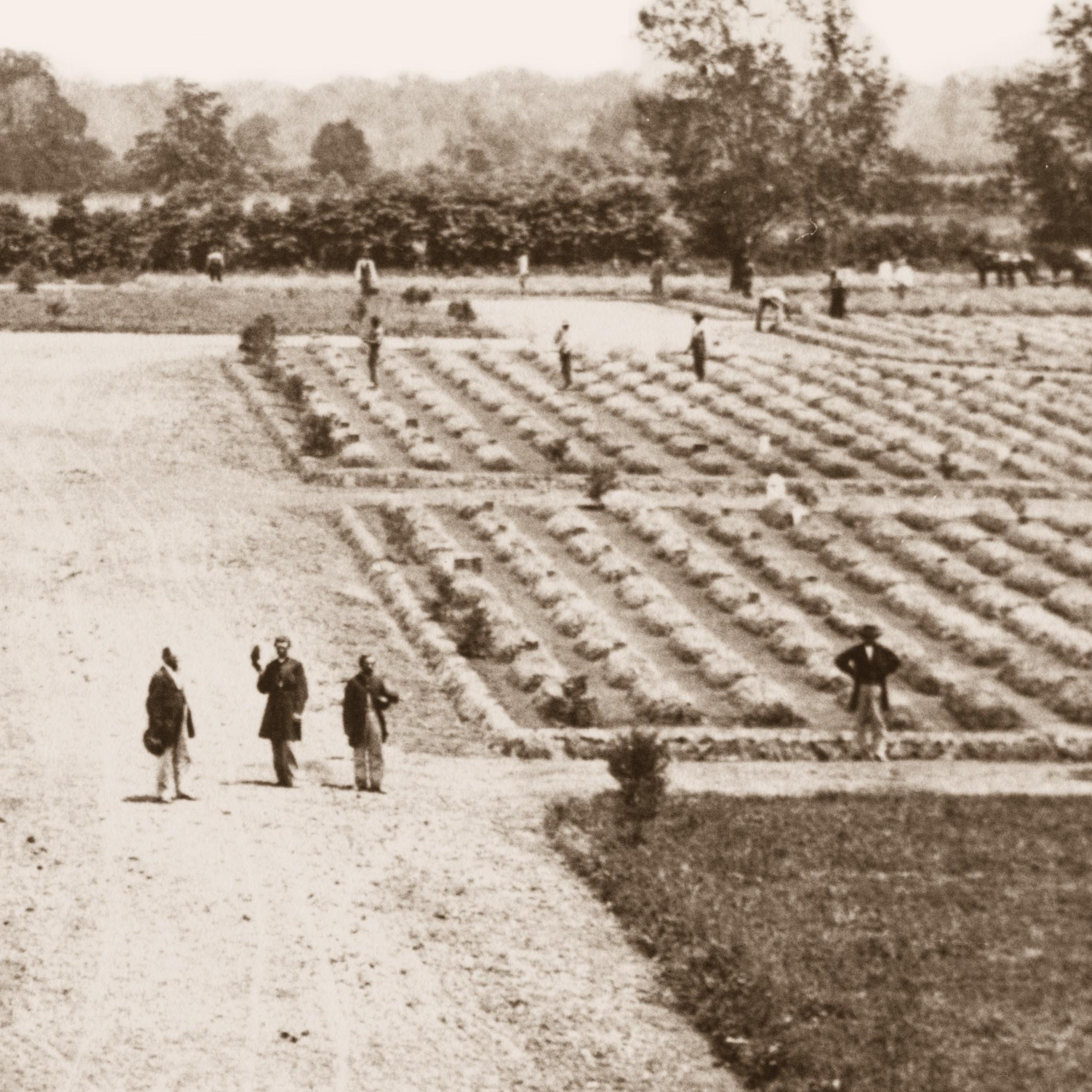 A black and white photo of a cemetery with rows of earthen mounds and workers beside them.