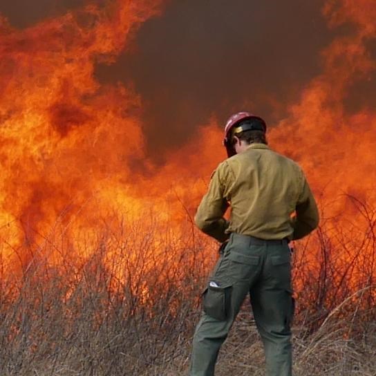 A firefighter looks over a field on fire