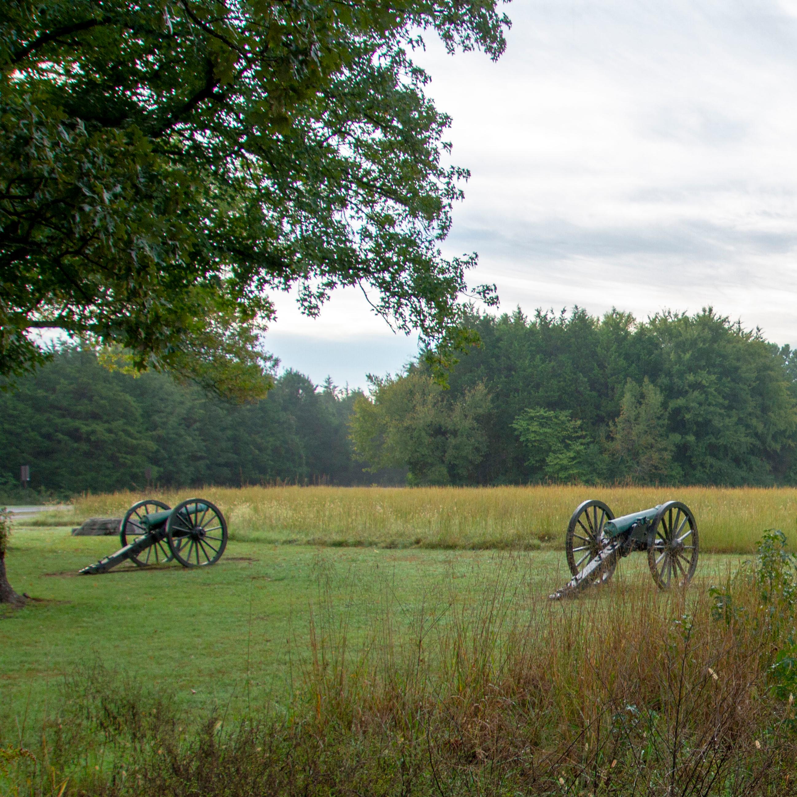 Two cannons are pointed across a modern asphalt road