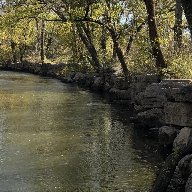 a river with rocky banks and trees overhead
