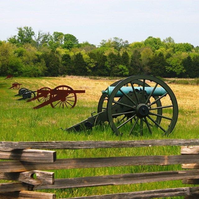Civil War cannons and cannon silhouettes stand in a line in a field behind a split rail fence.