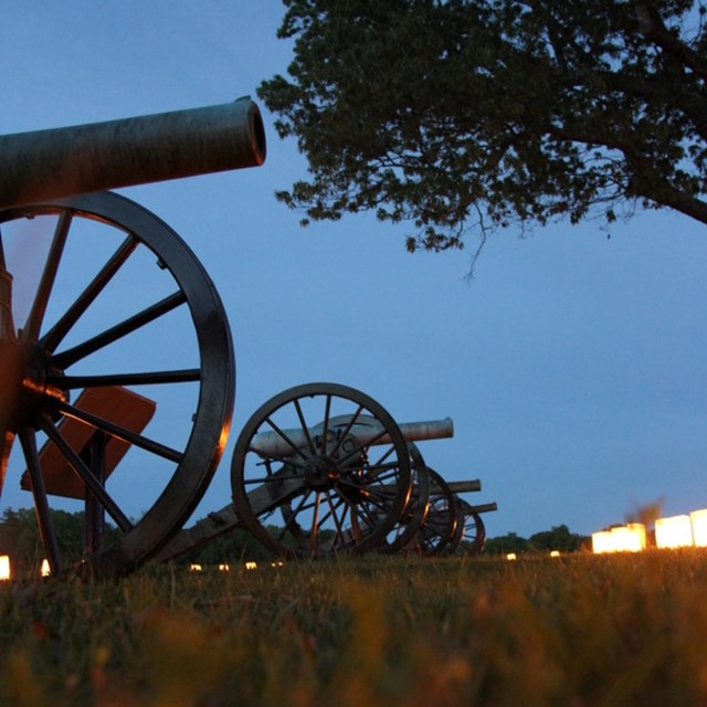 A row of cannons stand in a field with luminaries positioned around them.
