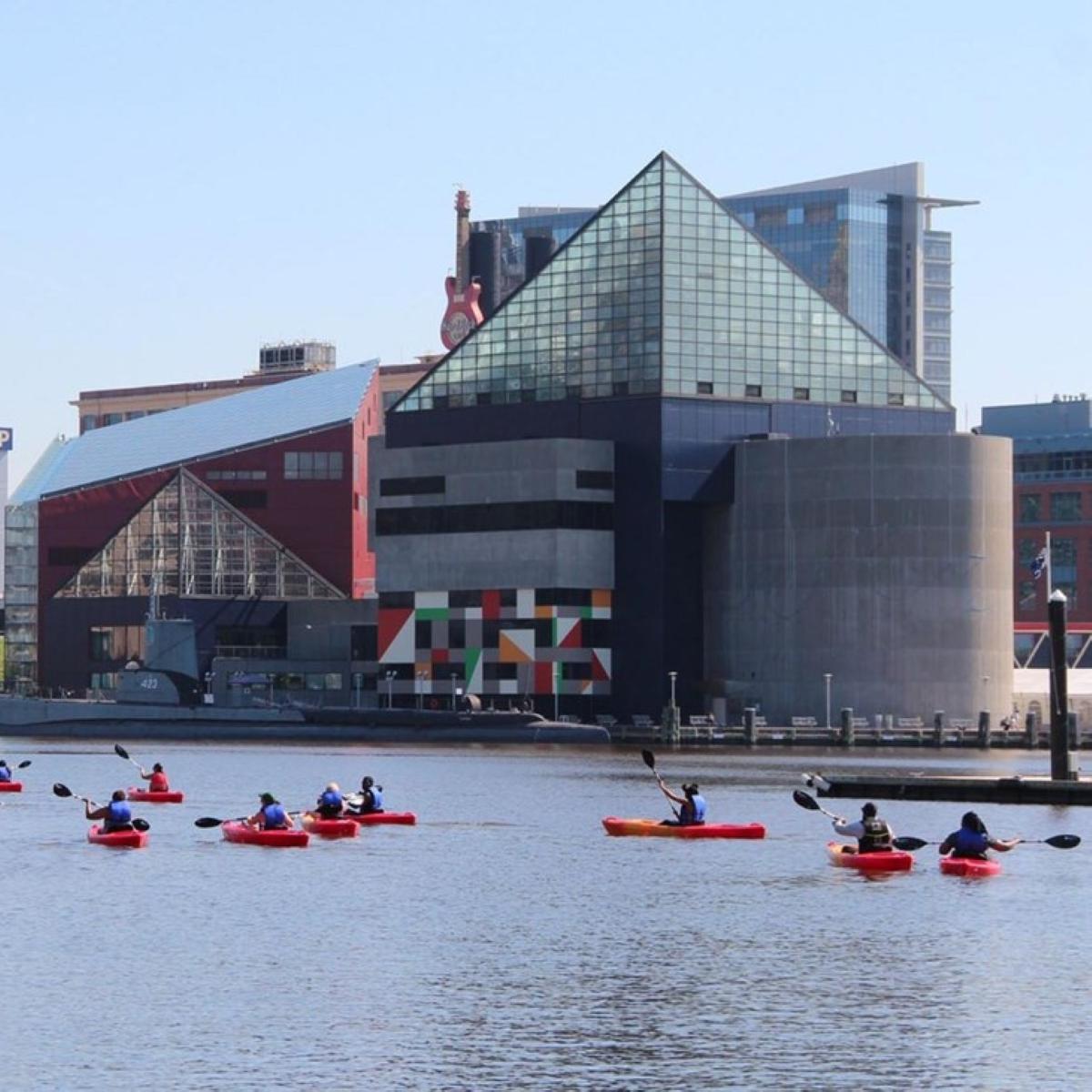Image of people paddling in the inner harbor of baltimore.