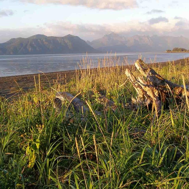 A view of the salt marshes and coast.