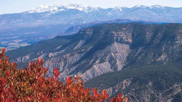 View of the rugged landscape at Mesa Verde National Park