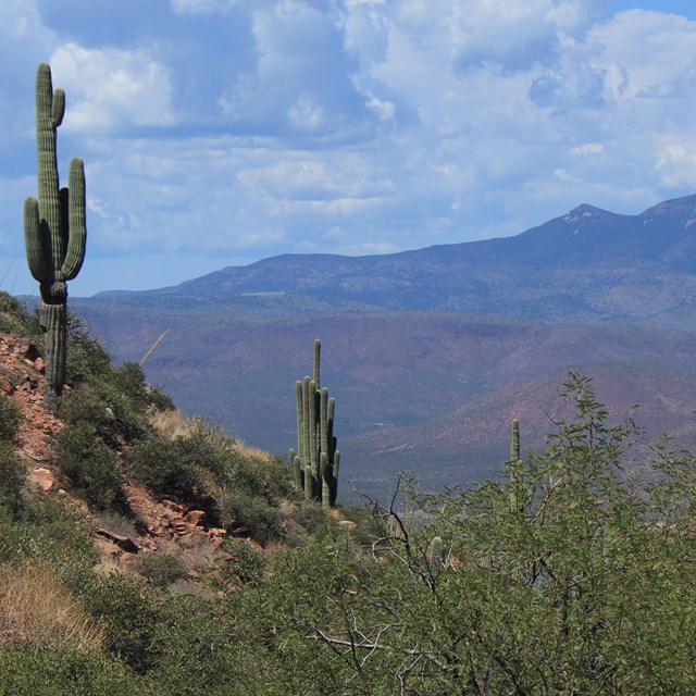 Clear view of Tonto Basin
