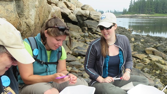 Group does work together with sitting on rocks 