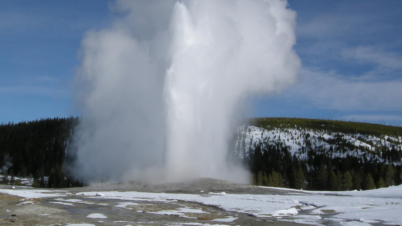 Old Faithful Geyser erupting with snow still on the ground