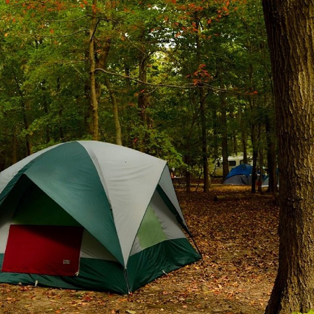 Tent set up in a campsite at Greenbelt Park