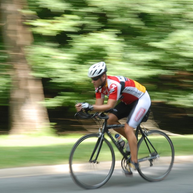 A cyclist rides through Rock Creek Park.