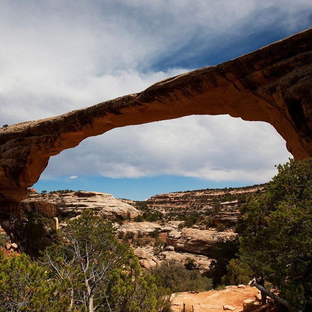 Walk to the Owachomo Bridge Viewpoint (U.S. National Park Service)