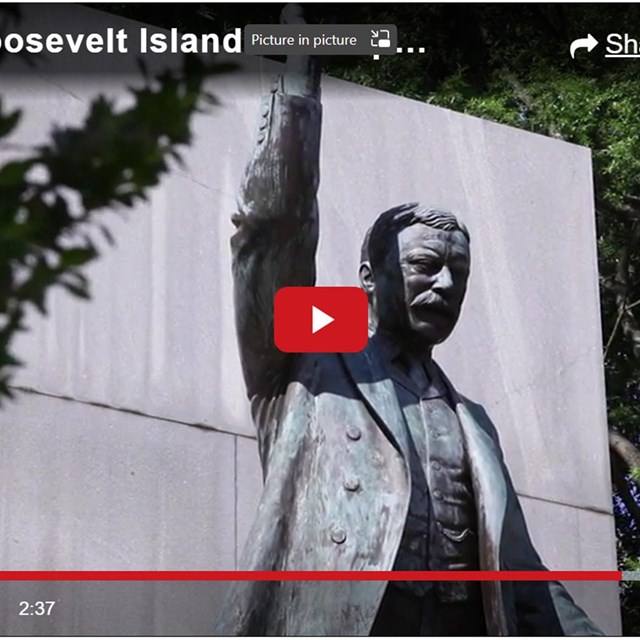 The Theodore Roosevelt Memorial on Theodore Roosevelt Island is framed by a tree