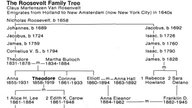 An image of the Roosevelt family tree and coat of arms