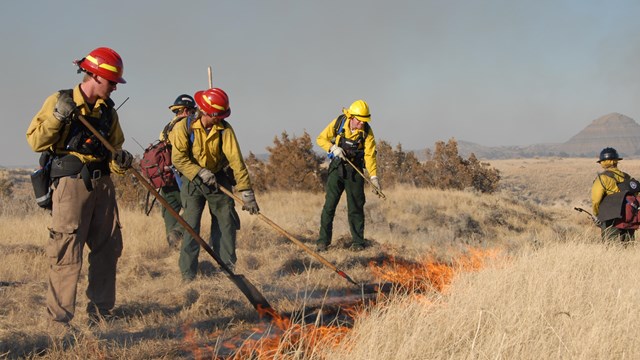 Firefighters performing a prescribed burn on a dry grassland.