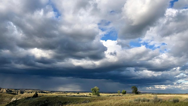 A North Dakota grassland with large clouds in the sky.