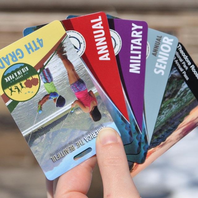 A hand holds an array of credit-card sized national park passes