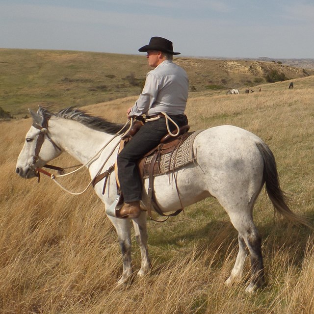 A man in a large brim hat rides a white and grey horse on a grassy hill