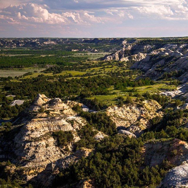 Rugged badlands buttes intermixed with deep green forests and prairie.