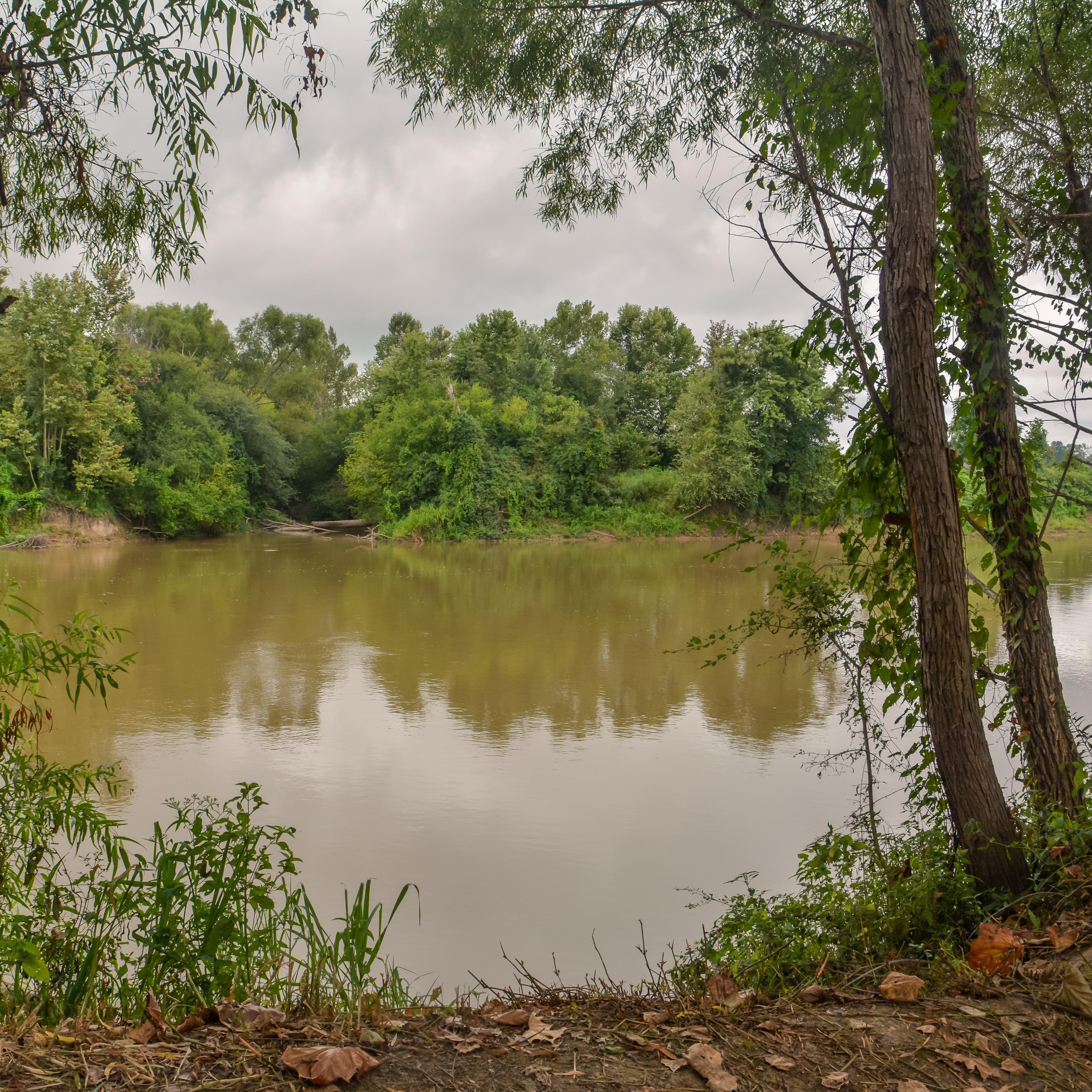 A muddy river visible between trees