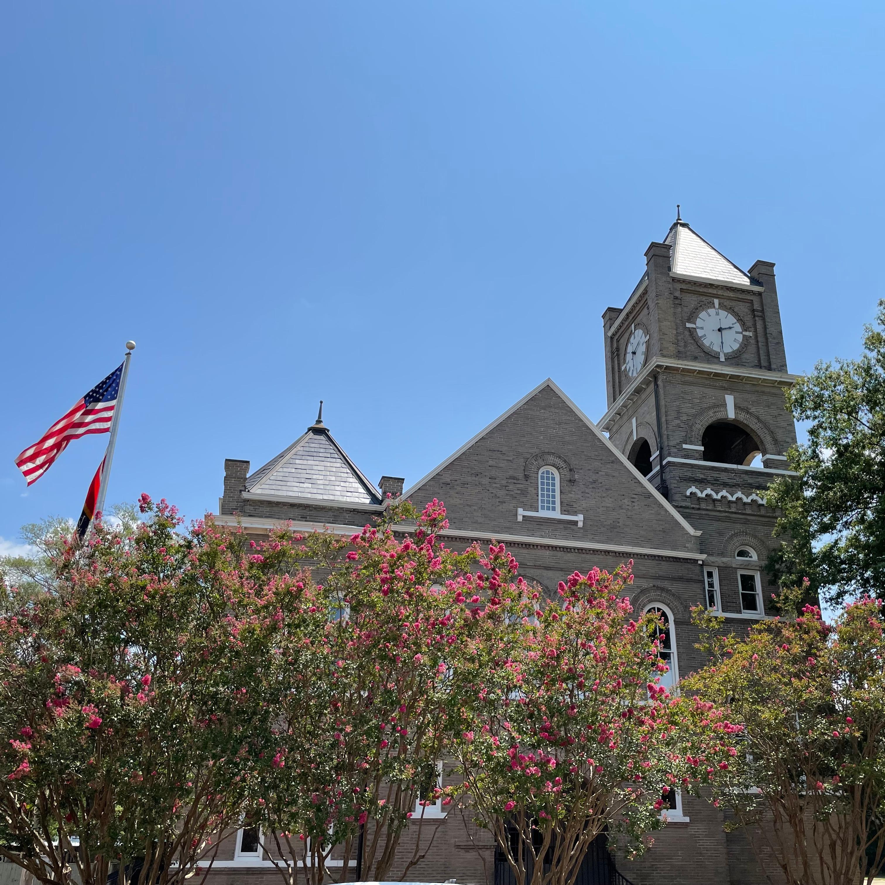 Clock tower and building visible above flowering trees with an American flag and Mississippi flag