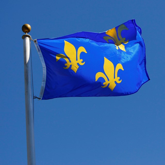 a blue french flag with fleur de lis