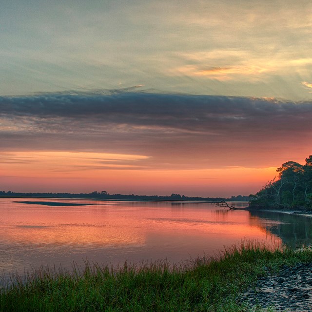 sun rising over a marsh 