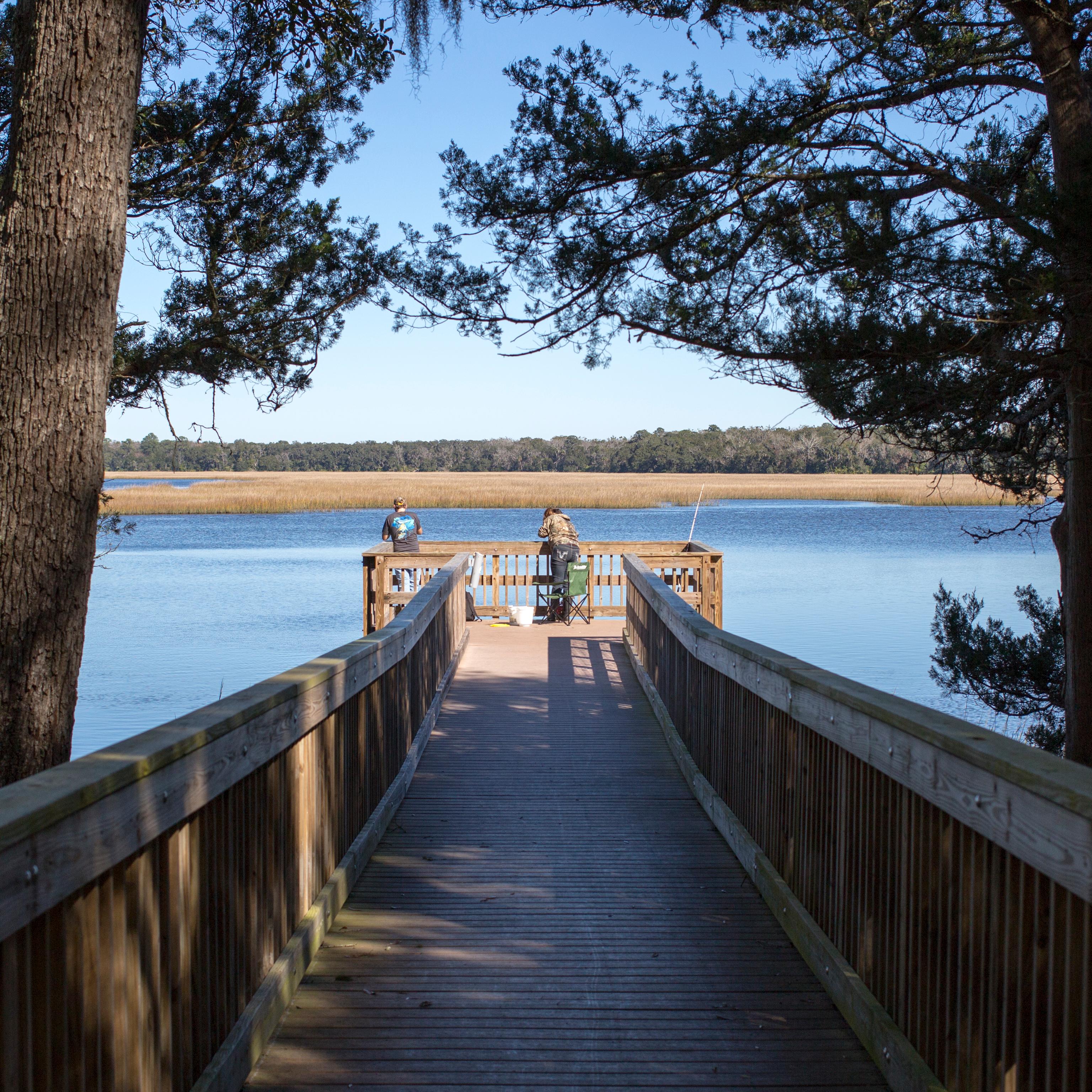 a boardwalk into water with trees