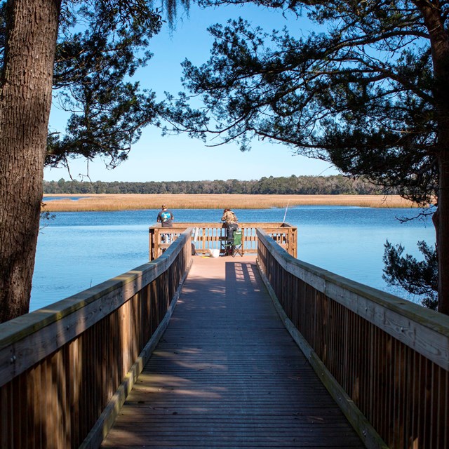 a boardwalk into water with trees