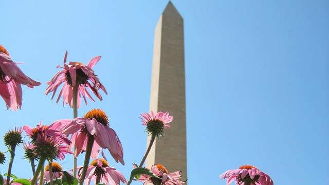 sergeant floyd monumnet obelisk