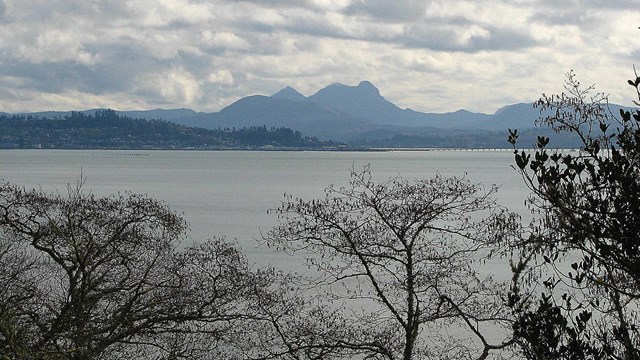 view from chinook point