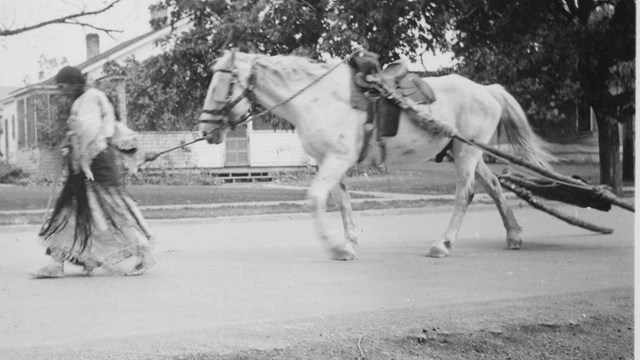 example of a travois