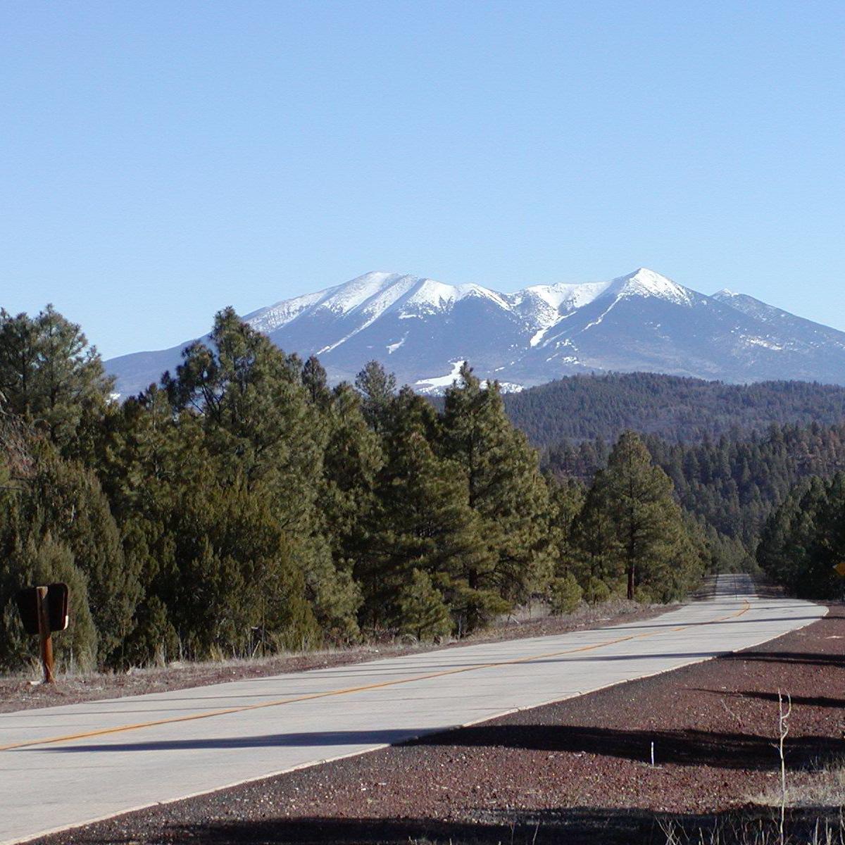 A road leads through a shrub forest to a distant mountain with snow.