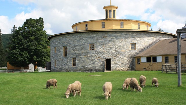 sheep grazing in front of a circular stone barn