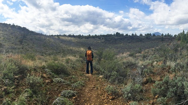 Ranger hiking along the Whitney Butte Trail NPS Photo