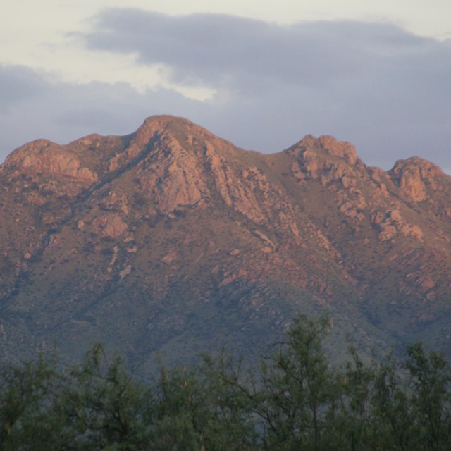 sunset light on mountains with trees in foreground