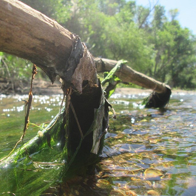 A river flowing with light shining through the bank.