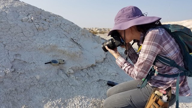 A woman with red hair wearing a sun shirt and sun hat excavates a mammoth tooth from gray sediments.