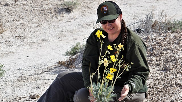 A woman in a green shirt and baseball cap holds a plant specimen with yellow flowers